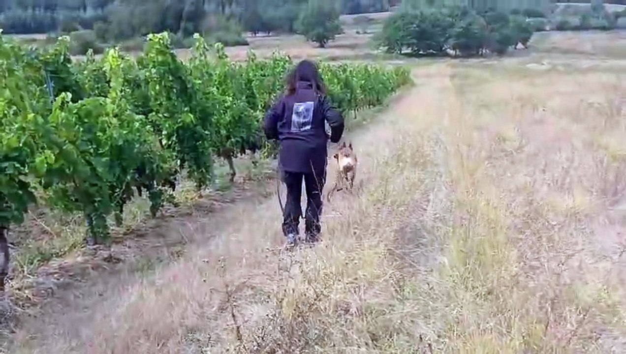 Rîo le 31 aout 25 ‐