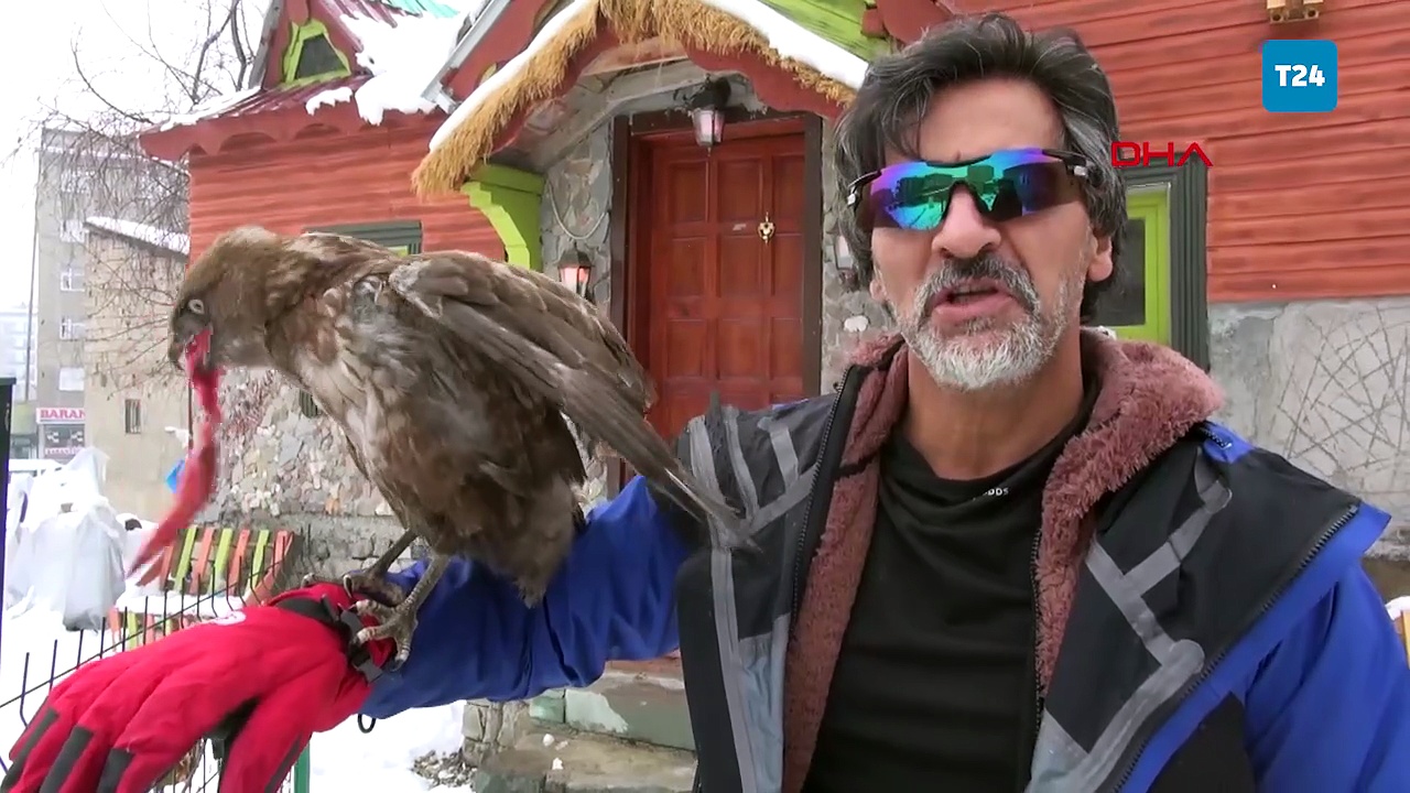 Tedavi edip doğaya bıraktığı kızıl şahin, aylar sonra geri döndü