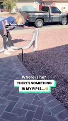 We couldn't believe what we found... 😳