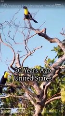 From Lost Heiress To Royal Highness - FULL MOVIES ENGLISH SUB