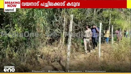 'അതിനെ ഞാൻ നോക്കി സൗണ്ട് ഉണ്ടാക്ക്യപ്പൊ അത് എന്നേം നോക്കി'