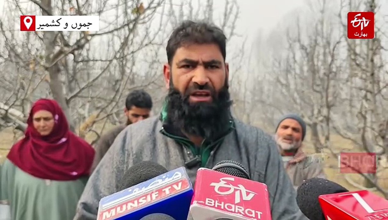 جنوبی کشمیر کے اضلاع میں سیب کے درختوں کو کاٹنے...