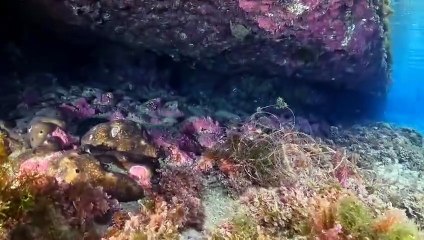 piazza dell'angelo torre faro