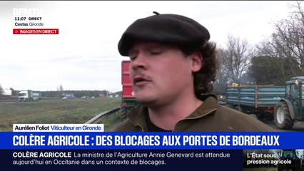 "On se sert les coudes entre agriculteurs": des viticulteurs venus soutenir les éleveurs sur le point de blocage à Cestas en Gironde