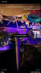 Wild Ride With The Dangerous Kian [ SHORT DRAMA WITH HIGH QUALITY 2025 ]