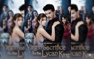 Virgin Sacrifice to the Lycan King (2025 – Web Dramma [Eng Sub])