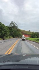 Queda de árvore interdita BR-116 em MG e provoca lentidão nesta segunda