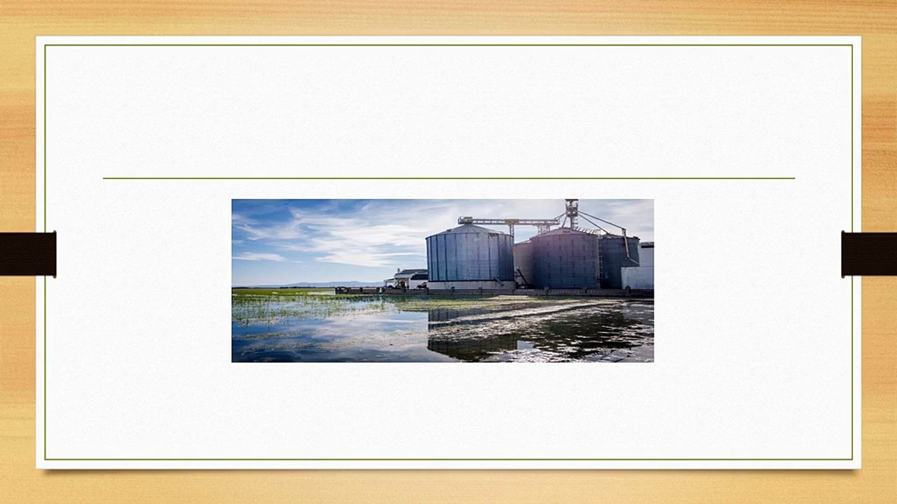 Rice Mill Pre Cleaner Machines & Hopper Bottom