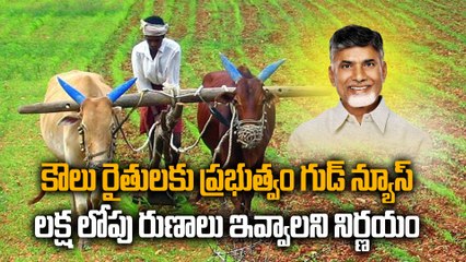 కౌలు రైతుల రుణాలపై ప్రభుత్వం కీలక నిర్ణయం,ఇక నుంచి వారందరికి లోన్స్ | Oneindia Telugu
