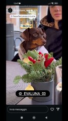 Brasiliano real story