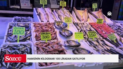 Hamsinin kilogramı 100 liradan satılıyor