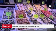 Hamsinin kilogramı 100 liradan satılıyor
