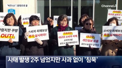 김범석 “비즈니스 일정”…불출석 사유서 2문장으로 끝