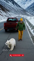A Little Polar Bear Cub Rescues Its Mother with the Help of an Old Man
