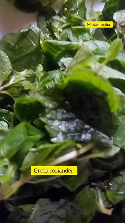 Green chutney only in 5 minutes