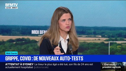 Grippe, Covid: faut-il faire un autotest avant de se réunir en famille?