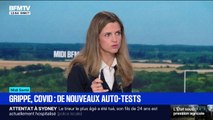 Grippe, Covid: faut-il faire un autotest avant de se réunir en famille?
