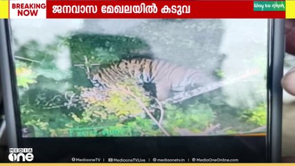 ജനവാസ മേഖലയിൽ ഇറങ്ങിയ കടുവയുടെ ചിത്രങ്ങൾ ലഭിച്ചു...