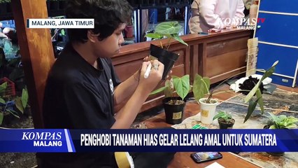 Penghobi Tanaman Hias Gelar Lelang Amal untuk Korban Banjir Sumatera