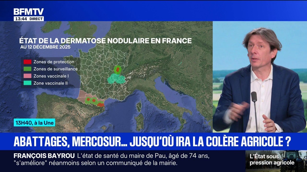 Dermatose nodulaire contagieuse : un nouveau cas dans l'Aude