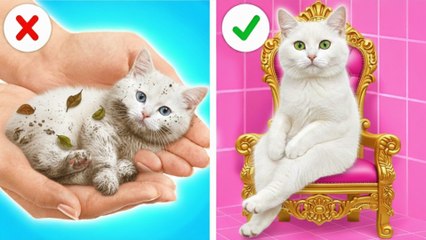 Ne pleure pas, mignon petit chaton ! J'ai construit une maison minuscule pour mes animaux