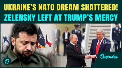 Russia-Ukraine War BREAKING: Zelensky DROPS NATO Bid for Peace Talks; Putin ANNOUNCES Huge Victory!