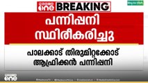 പാലക്കാട്‌ ആഫ്രിക്കൻ പന്നിപ്പനി സ്ഥിരീകരിച്ചു...
