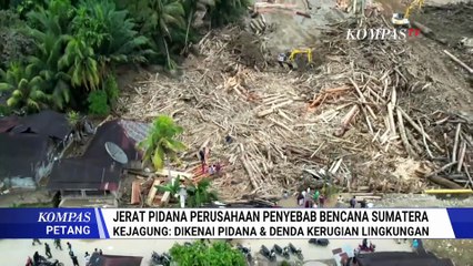 Kejagung Ungkap Satgas PKH Proses PT TBS Terkait Pembalakan Liar Pemicu Banjir Sumatera