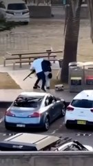 Trump Praises Bondi Hero Who Tackled Shooter