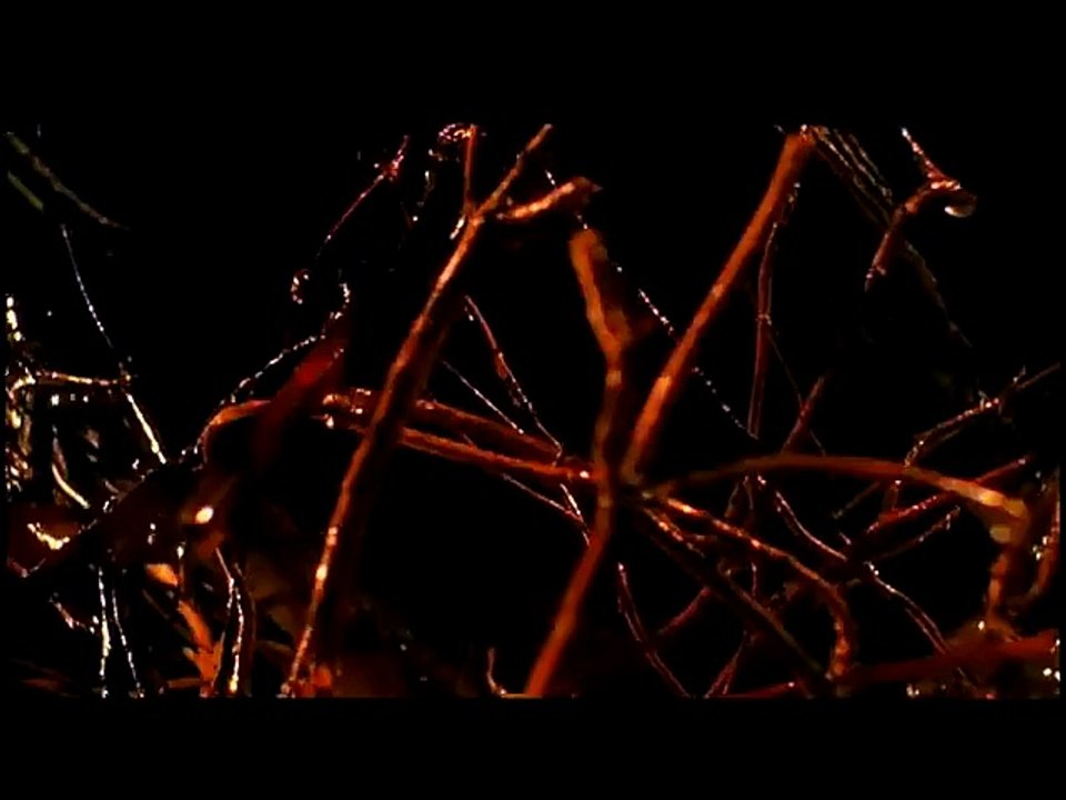 Die purpurnen Flüsse 2 - Die Engel der Apokalypse Trailer DF