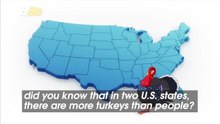 These Two States Have More Turkeys Than People—Can You Guess Them?
