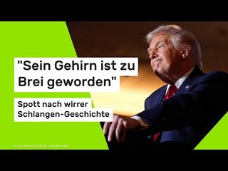 "Sein Gehirn ist zu Brei geworden" - Spott nach wirrer Schlangen-Geschichte