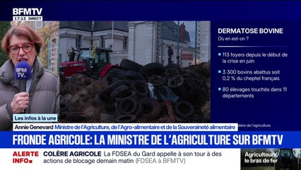 Dermatose nodulaire contagieuse: “J’ai entendu ce que m'ont dit les agriculteurs”, explique  Annie Genevard, ministre de l’Agriculture