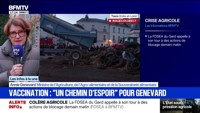 Dermatose nodulaire: Nous vaccinerons entre 600.000 et un million de bovins , assure Annie Genevard, ministre de l'Agriculture