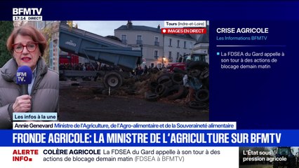 Dermatose nodulaire contagieuse: “Aujourd’hui, nous n’avons plus un seul cas foyer en France", affirme Annie Genevard, ministre de l’Agriculture