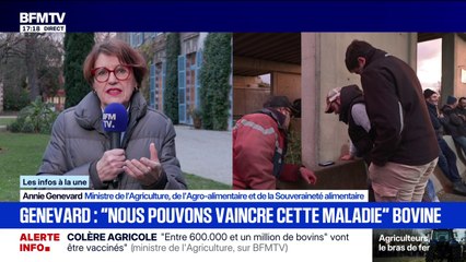 Dermatose nodulaire bovine: "Nous avons suffisamment de doses de vaccin", déclare Annie Genevard, ministre de l'Agriculture