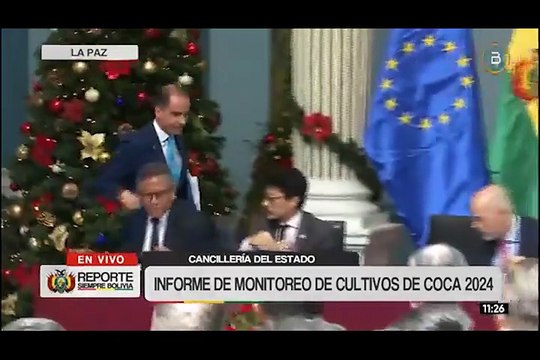 Monitoreo ONU–Bolivia: cultivos de coca crecieron 10% en 2024 y se erradicaron 10.000 hectáreas