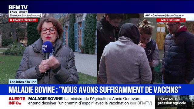 Dermatose nodulaire contagieuse: “Je ne peux pas abandonner une stratégie qui fonctionne sans savoir si les alternatives qu’ils proposent fonctionnent”, argumente la ministre de l’Agriculture