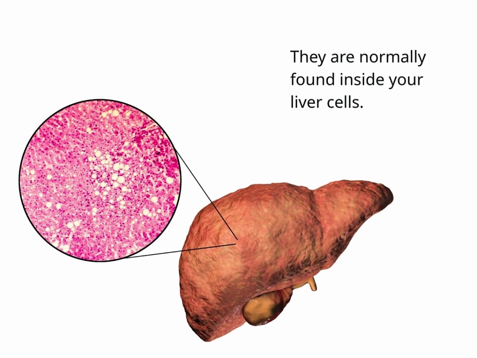 SGOT SGPT Test: Decoding Your Liver Enzyme Numbers (AST/ALT)