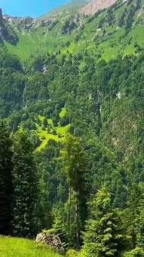 VID-20251214-WA0012. Green Bay area