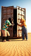 Chikki & Momo Save Rabbits in the Desert | Cute Animal Cartoon Story