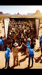 Rabbits Released in the Desert | Shocking Animal Rescue Story