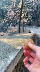 #funny video #shortvideo #viralvideo #funnyadda#