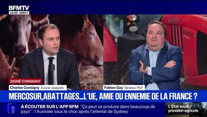 SIGNÉ CONSIGNY - Le Mercosur est un "traité nuisible à notre agriculture" mais "plutôt bénéfique pour le reste", estime Charles Consigny, avocat et essayiste