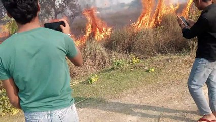 Fire Breaks Out in Farm Field 🔥 | Shocking Crop Fire Short Video