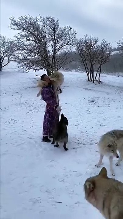 Living with wolf 🐺