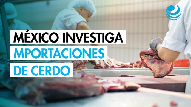 México abre investigación por importaciones de cerdo procedentes de EU