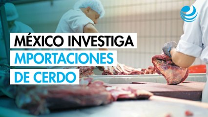 México abre investigación por importaciones de cerdo procedentes de EU