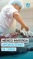 México abre investigación por importaciones de cerdo procedentes de EU