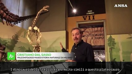 Scoperte migliaia di orme di dinosauri nel Parco dello Stelvio